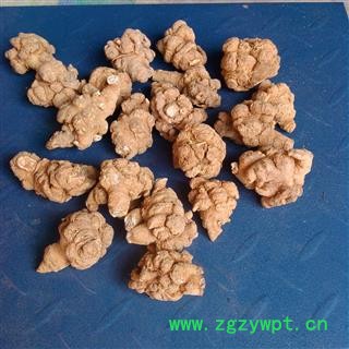 文山 三七 40头三七优质水洗 产地 云南省文山壮族苗族自治州文山县图4