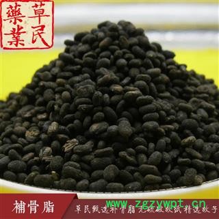 草民甄选补骨脂 无硫破故纸 精选故子 药典全检 专业批发量大从优图3