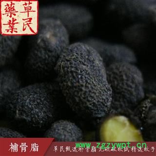 草民甄选补骨脂 无硫破故纸 精选故子 药典全检 专业批发量大从优图2