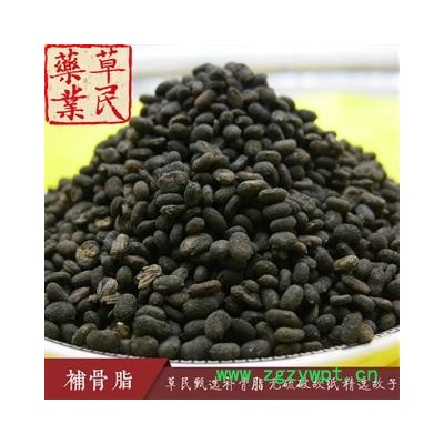 草民甄选补骨脂 无硫破故纸 精选故子 药典全检 专业批发量大从优