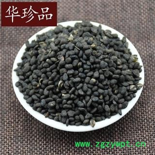 补骨脂 01 补骨脂 统 产地 云南省玉溪市江川县图2