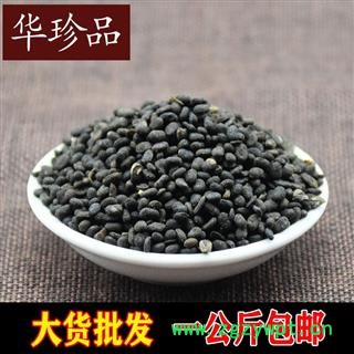 补骨脂 01 补骨脂 统 产地 云南省玉溪市江川县图4