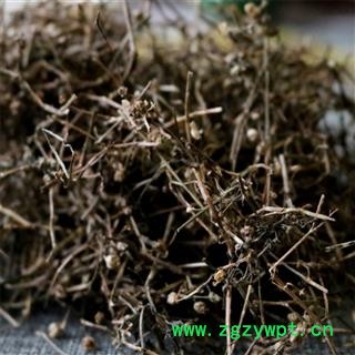 白花蛇舌草 统货 产地 江西省萍乡市湘东区图3