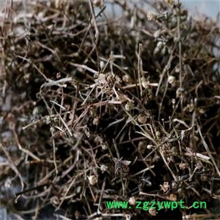 白花蛇舌草 统货 产地 江西省萍乡市湘东区图2