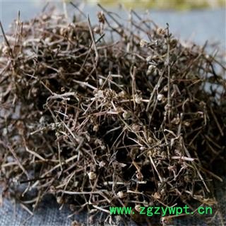 白花蛇舌草 统货 产地 江西省萍乡市湘东区图4