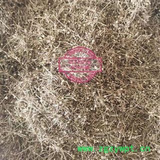 白花蛇舌草 大花 过筛去沫 产地 江西省图3