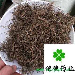 白花蛇舌草 白花蛇草 统 供应大货 产地 河南省图2