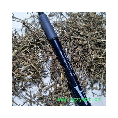 白花蛇舌草 白花蛇舌草野生统段 产地 江西省