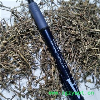 白花蛇舌草 白花蛇舌草野生统段 产地 江西省图4