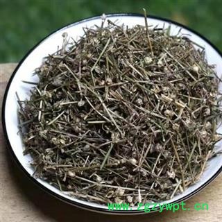 【新货精选】秦岭野生白花蛇舌草 手工铡段 日晒无硫500g图2