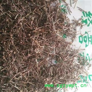 安祁名药正品白花蛇舌草 白花蛇草图2