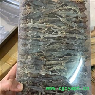 天龙 壁虎选货正品保证质量7天无理由退货退款 中药材批发 丽丽药业图4