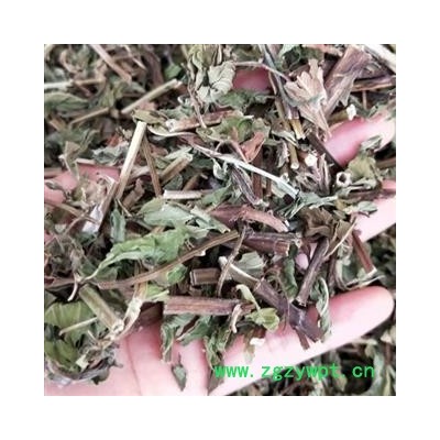 薄荷 中药材薄荷吸尘净货 产地 河北省安国市场批发零售大全