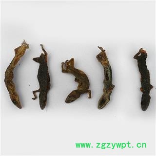 【满298元包邮】壁虎守宫四脚蛇巴壁虎统个   500克1袋图2