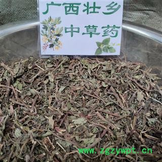 广西壮乡中草药 野生 无硫 味道浓厚 薄荷 产地 广西柳州图4