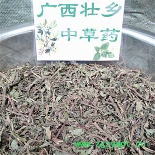 广西壮乡中草药 野生 无硫 味道浓厚 薄荷 产地 广西柳州图2