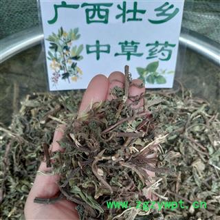 广西壮乡中草药 野生 无硫 味道浓厚 薄荷 产地 广西柳州图3