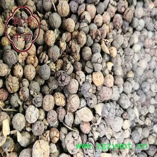 草豆蔻 统 产地 广西壮族自治区【品种齐全 诚信经营】图2