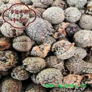 草豆蔻 选 产地 广西壮族自治区【品种齐全 诚信经营】图2