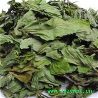 新辉药业优质新货薄荷叶 薄荷梗 货干色绿 批发零售图3