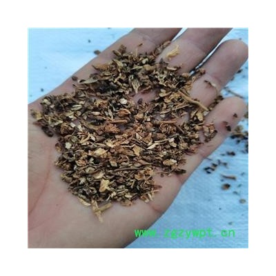 苍术 碎渣 产地 河北省承德市