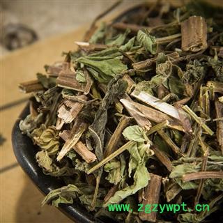 薄荷 青绿色当年新货薄荷 产地 山东省 精品好药尽在山东七彩百草图3