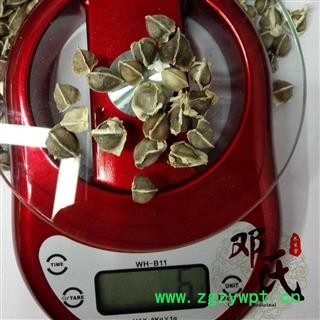 【满包邮】辣木籽一级有边 精选 产地 印度 我们保证每一颗都是精心挑选 邓氏中药行图2