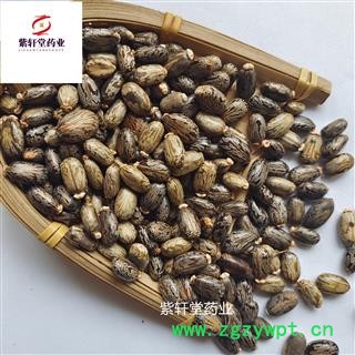 蓖麻子 蓖麻子 选货  产地安徽省 紫轩堂药业图2