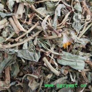 精品选装净货败酱草 质量好 价格低  产地 山东省图2