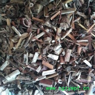 败酱 臭败酱草 产地 广西壮族自治区  另售有黄花败酱  北败酱 买好药找娟子图2