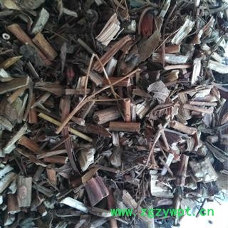 败酱 臭败酱草 黄花败酱 产地 广西壮族自治区图3