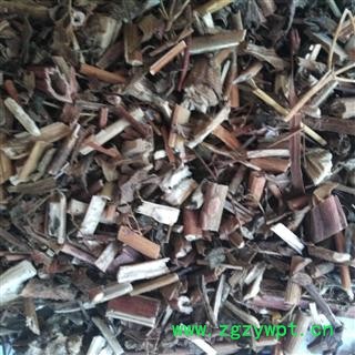 败酱 臭败酱草 黄花败酱 产地 广西壮族自治区图2