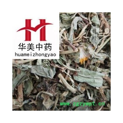 败酱 统 产地 山东省 华美中药 产地直销 重在品质