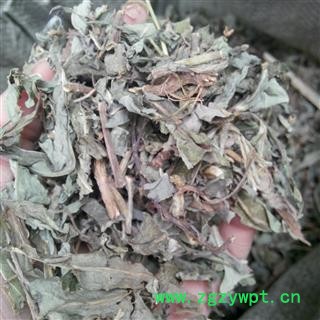 败酱 统 产地 山东省 华美中药 产地直销 重在品质图2