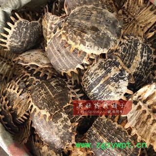 鳖甲 鳖甲选货 产地 吉林省 买好药找娟子图2