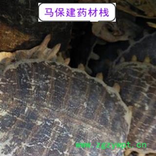 鳖甲 选货  今年新货 产地 山东省图2