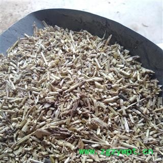 白茅根 统段 产地 山东省图2