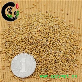 白芥子产地四川一公斤起售优质辣菜子专注品质，诚信信邦！图4