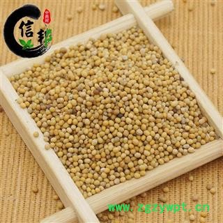 白芥子产地四川一公斤起售优质辣菜子专注品质，诚信信邦！图2
