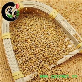 白芥子产地四川一公斤起售优质辣菜子专注品质，诚信信邦！图3