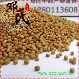 白芥子无硫1公斤起批散装批发黄芥子四川产地直供邓氏中药材批发图3