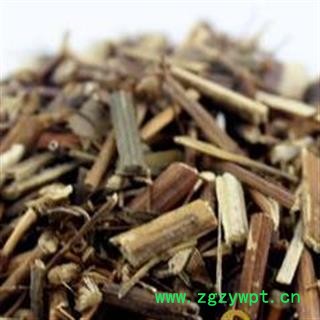 蓍草干净无杂质正品保证质量7天无理由退货退款 中药材批发 丽丽药业图2