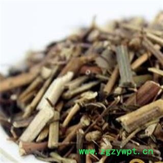 蓍草干净无杂质正品保证质量7天无理由退货退款 中药材批发 丽丽药业图4