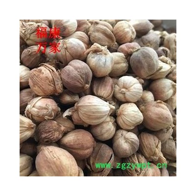 白豆蔻 白豆蔻统货 白寇 香味浓郁  产地 广西壮族自治区