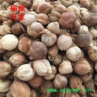 白豆蔻 白豆蔻统货 白寇 香味浓郁  产地 广西壮族自治区图2