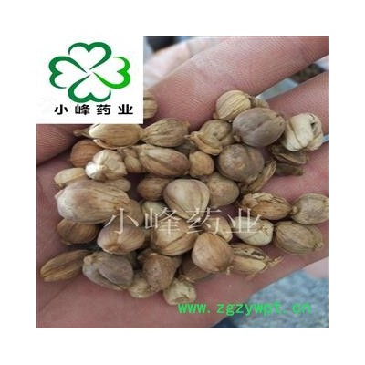 白豆蔻 白蔻统货 无硫磺 新货 颜色好 纯干 无虫蛀 产地 广西壮族自治区