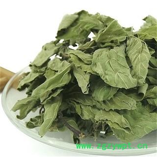 薄荷 统货 产地 四川省成都市