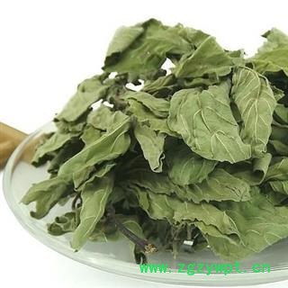 薄荷 统货 产地 四川省成都市图3