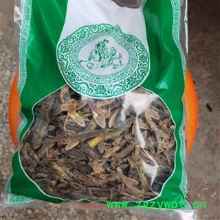 天龙 壁虎 实图拍照  大统货正品保证质量7天无理由退货退款 中药材批发图3