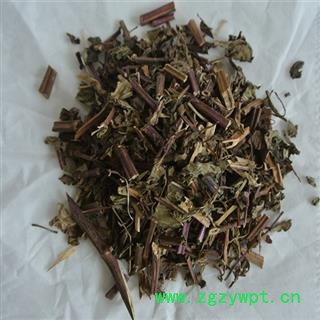 薄荷 红杆薄荷 统片 产地 四川省图4